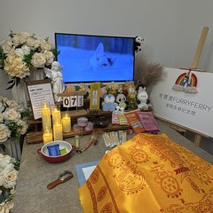 宠物家长客户见证