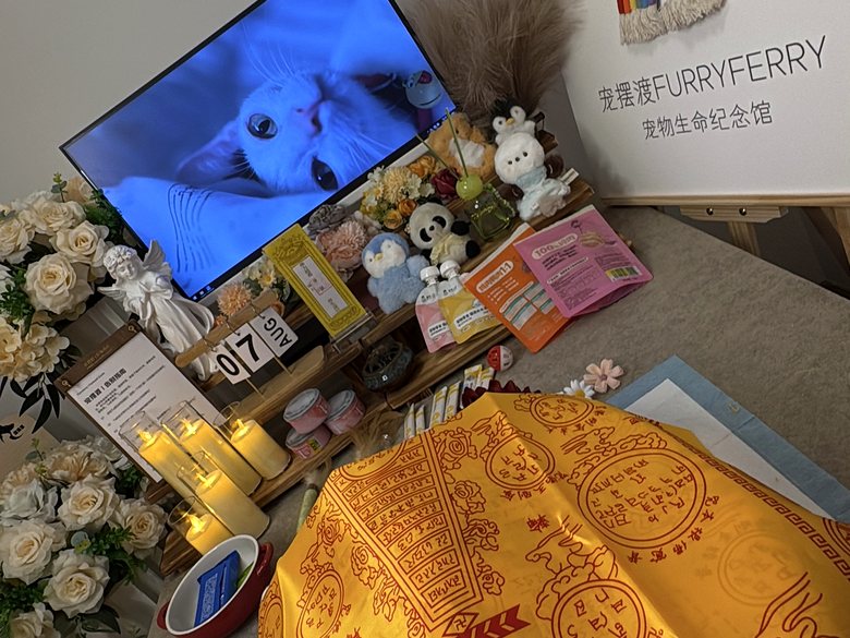 宠物纪念相册与追思布置